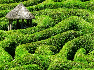 Strategy Maze
